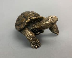 Tortoise 2WR
