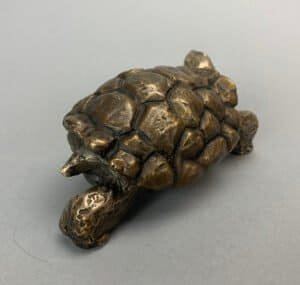 Tortoise 3WR scaled